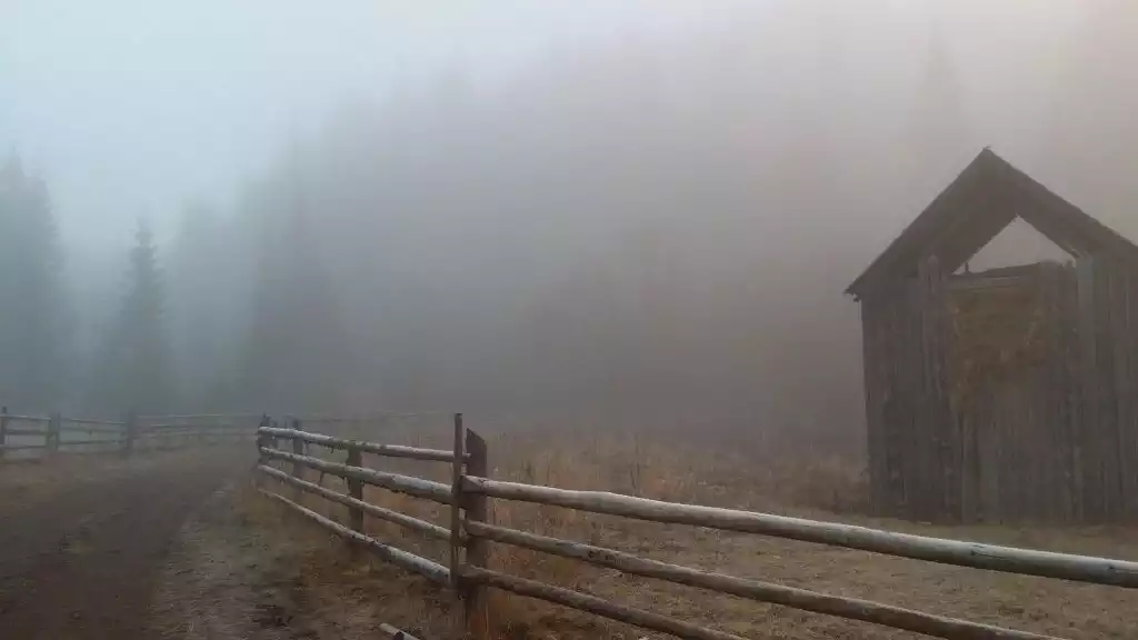 Dimineață în Bucovina: dealuri, ceață ușoară și sat liniștit