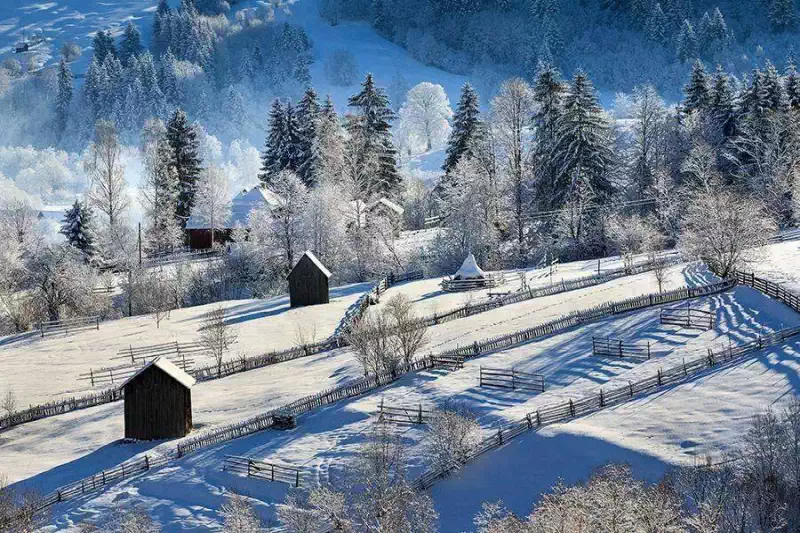 Bucovina iarna cu zapada