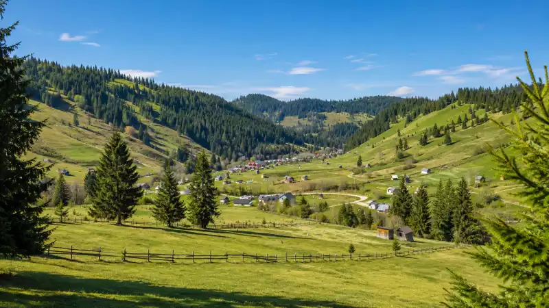Casă tradițională din Bucovina, cu curte, verdeață și atmosferă liniștită de sat