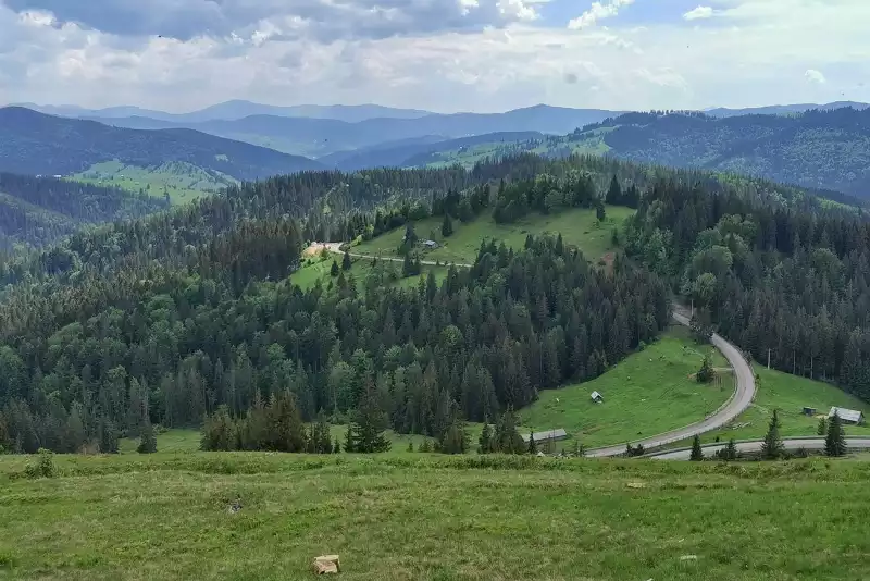 Pasul Palma și zona Ciumârna, drum panoramic din Bucovina