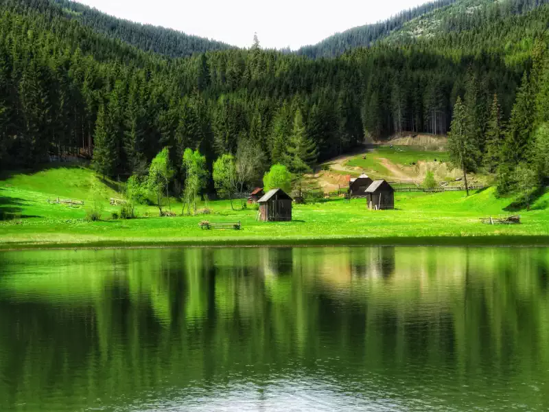 Lacul Iezer din Sadova, înconjurat de pădure și dealuri din Bucovina