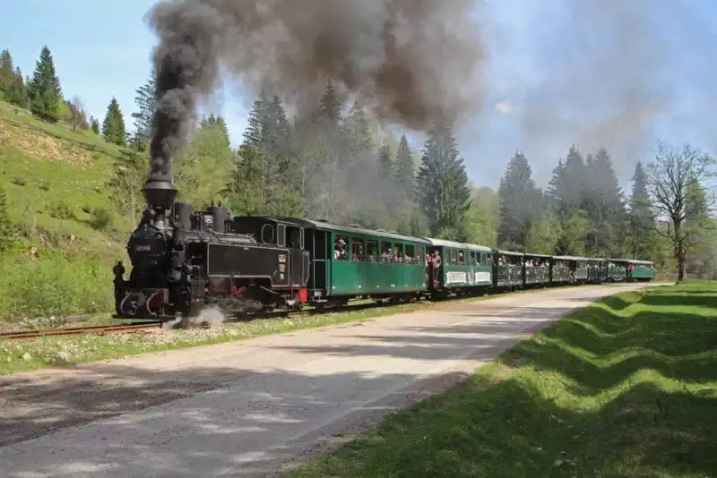 Mocănița Huțulca din Moldovița – tren cu aburi pe calea ferată forestieră din Bucovina